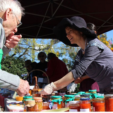 Turramurra Lookout community garden