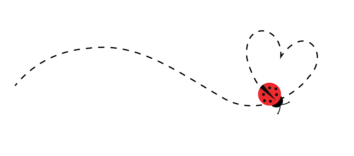 Net Zero_ladybird_no bg.png